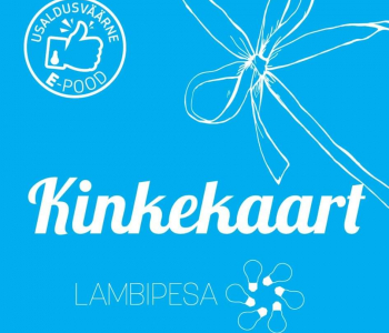 Kinkekaardiga valgusti!