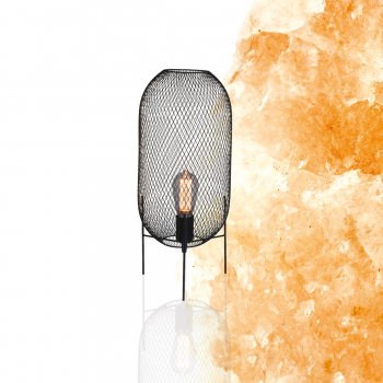 Mexlite Bodine