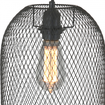 Mexlite Bodine