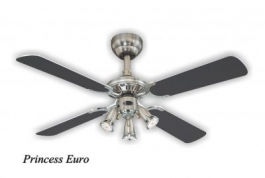 Princess Euro