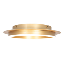 Ringlux